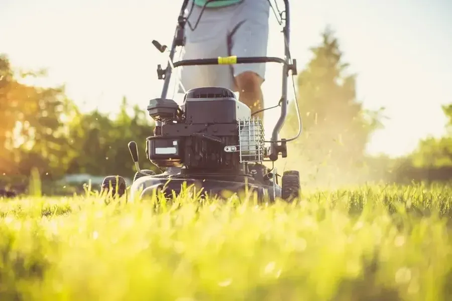 Affordable Grass Cutting Service Ontario, OR