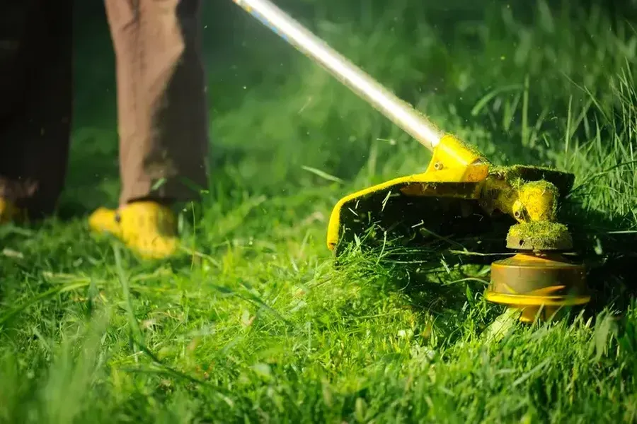 How Grass Cutting Services Improve Curb Appeal Ontario, OR