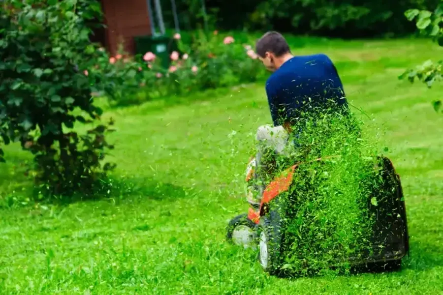 How Grass Cutting Services Improve Curb Appeal in Ontario, OR