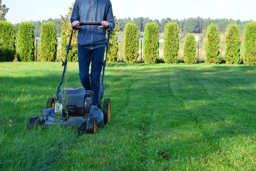 How Proper Lawn Mowing Prevents Weed Growth Ontario, OR