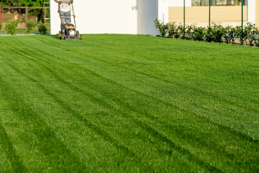 How Proper Lawn Mowing Prevents Weed Growth in Ontario, OR