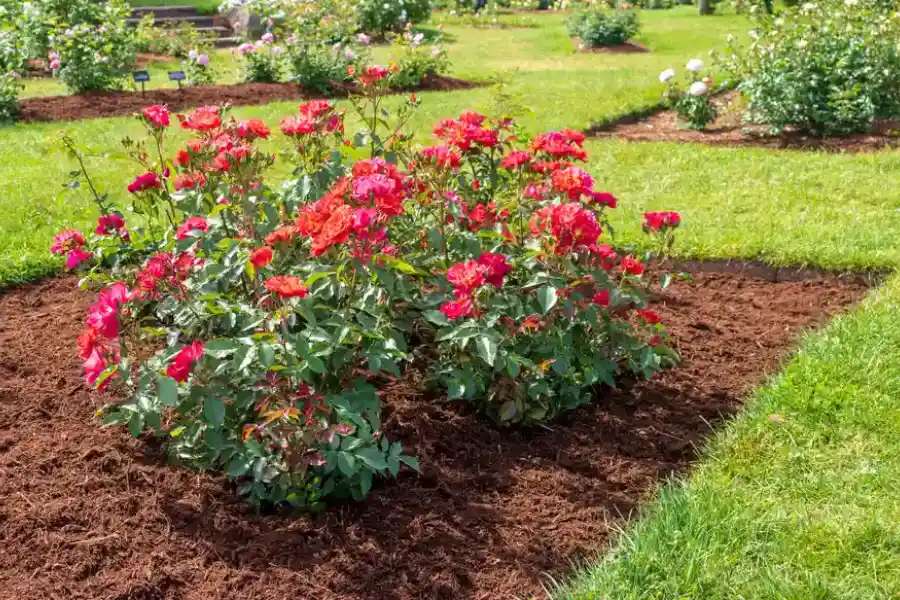 How To Prevent Mulch From Decomposing Too Quickly in Ontario, OR