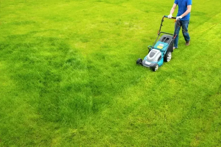 Importance Of Proper Grass Cutting Height For Growth in Ontario, OR
