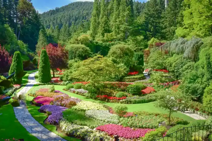 Key Principles Of Functional Landscape Design For Families Ontario, OR