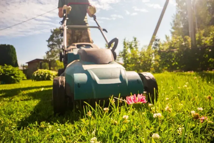 Superior Grass Cutting Service Ontario, OR